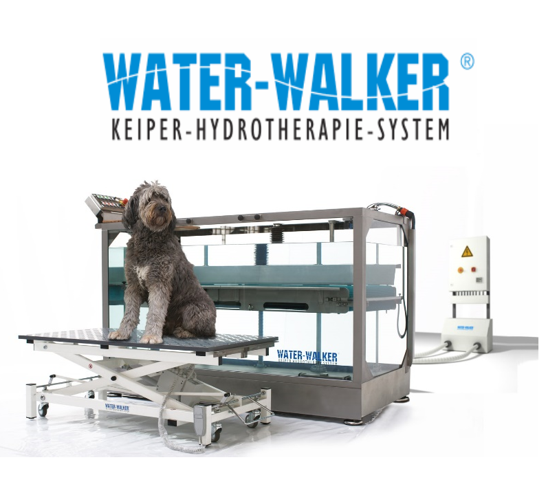 WATERWALKER® Förderbänder